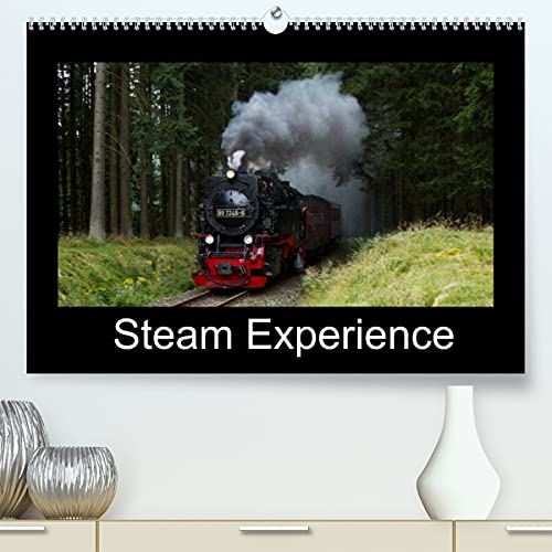 Steam Experience (Premium, hochwertiger DIN A2 Wandkalender 2022, Kunstdruck in Hochglanz): Steam locomotives in the heart of Germany (Monthly calendar, 14 pages )