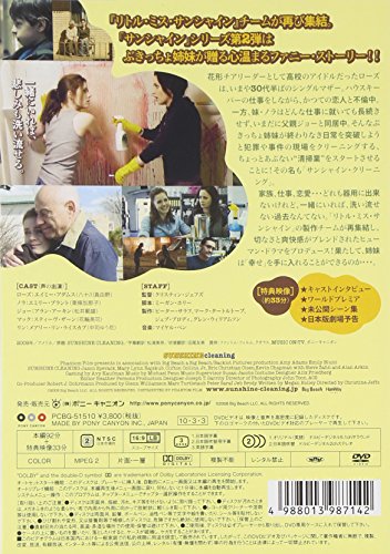 Sunshine Cleaning [DVD de Audio]