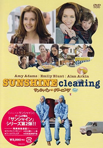 Sunshine Cleaning [DVD de Audio]