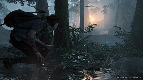The Last of Us Part II for PlayStation 4 [USA]