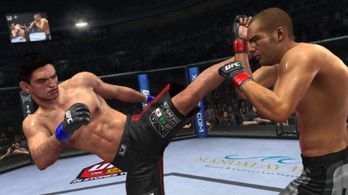 THQ UFC Undisputed 2010 - Juego