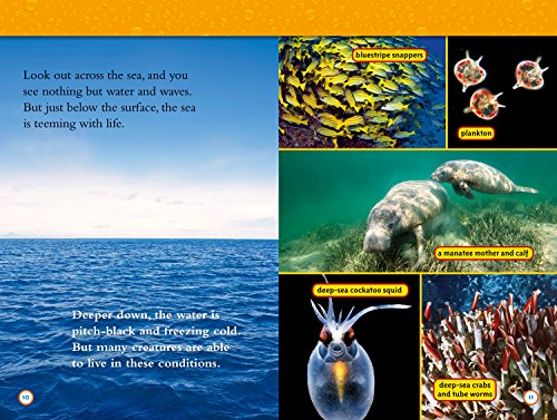 Water: Level 4 (National Geographic Readers)