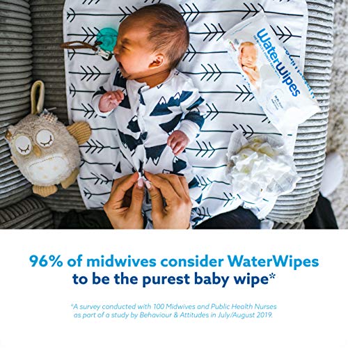 WaterWipes Toallitas para Pieles Sensible de Bebé, 99.9% agua purificada, No biodegradable, 60 Unidad (Paquete de 12)