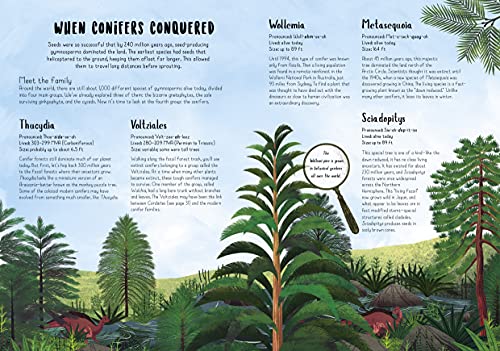 When Plants Took Over the Planet: The Amazing Story of Plant Evolution (Incredible Evolution)