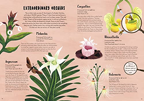 When Plants Took Over the Planet: The Amazing Story of Plant Evolution (Incredible Evolution)