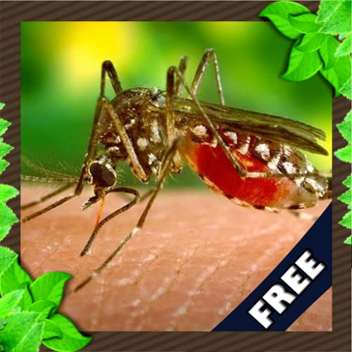 Wildlife Angry Mosquito Attack 3d
