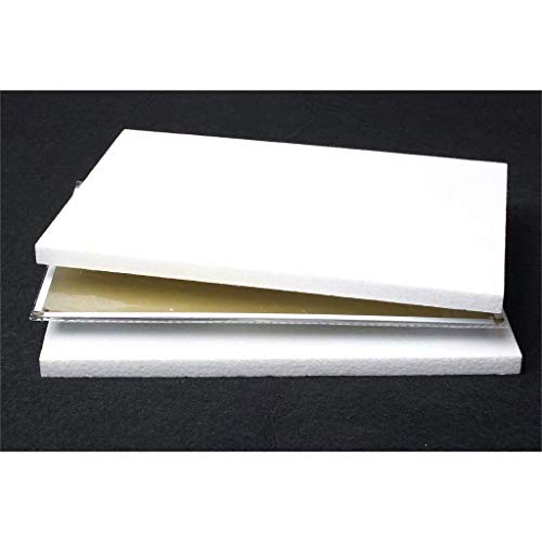 XCM Plant These to Save Bees Tin Sign Fun World Education Science Classroom Infographic Tin Sign Funny Shop School Farm Wall Decor Poster Botanic Garden Museum Metal ​Tin Signs 8x12 Inch