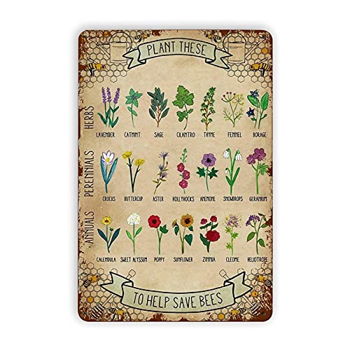 XCM Plant These to Save Bees Tin Sign Fun World Education Science Classroom Infographic Tin Sign Funny Shop School Farm Wall Decor Poster Botanic Garden Museum Metal ​Tin Signs 8x12 Inch