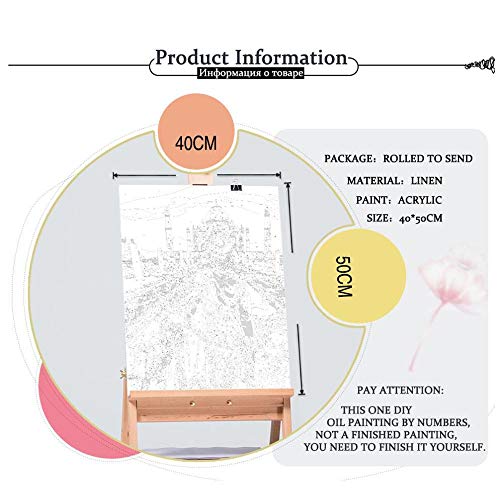 ZYCD Paint by Numbers Kits DIY Oil Painting Color Talk Home Decoración de Pared para Adultos Niños Principiantes - River and Steamer at Sunset 16X20 Inch