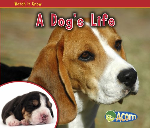 A Dog's Life (Acorn: Watch It Grow)