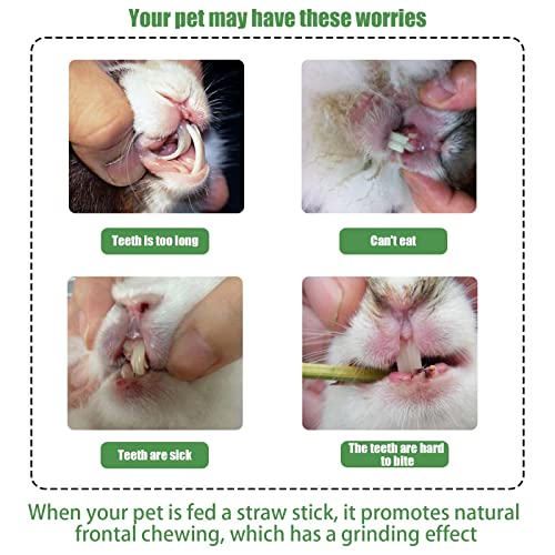 ACHANFLY 30 Piezas Comida Conejos Enanos Heno Cobaya Naturales para Masticar Comida Chinchilla para Conejitos Hamsters Conejillo de Indias Chinchillas Ardilla Hámster Animal Pequeño