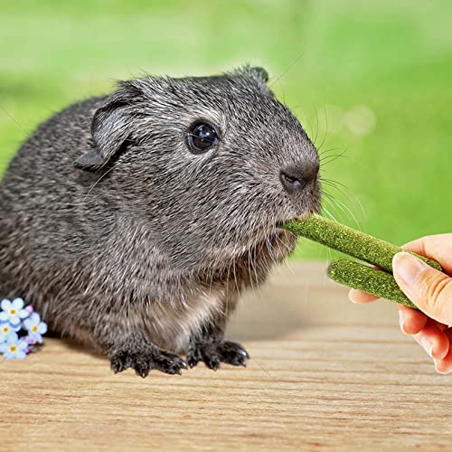 ACHANFLY 30 Piezas Comida Conejos Enanos Heno Cobaya Naturales para Masticar Comida Chinchilla para Conejitos Hamsters Conejillo de Indias Chinchillas Ardilla Hámster Animal Pequeño