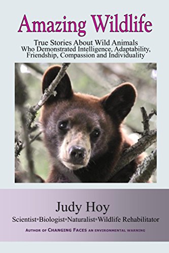 Amazing Wildlife: True Stories About Wild Animals Who Demonstrated Intelligence, Adaptability, Friendship, Compassion and Individuality (English Edition)
