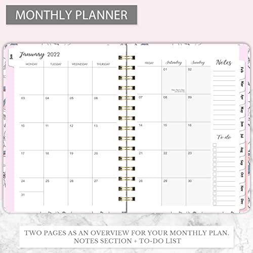 Amazon Brand - Eono Agenda 2021-2022 A5, Julio de 2021 a junio de 2022 Planificador Semanal con Etiqueta Mensual y Bolsillo Interior Expandible, Púrpura, 21,5 x 15,5 x 1,5 cm