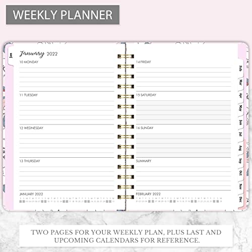 Amazon Brand - Eono Agenda 2021-2022 A5, Julio de 2021 a junio de 2022 Planificador Semanal con Etiqueta Mensual y Bolsillo Interior Expandible, Púrpura, 21,5 x 15,5 x 1,5 cm