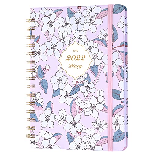 Amazon Brand - Eono Agenda 2021-2022 A5, Julio de 2021 a junio de 2022 Planificador Semanal con Etiqueta Mensual y Bolsillo Interior Expandible, Púrpura, 21,5 x 15,5 x 1,5 cm