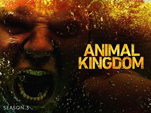 Animal Kingdom - Season 3