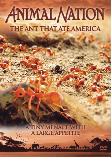 Animal Nation - The Ant That Ate America [Reino Unido] [DVD]