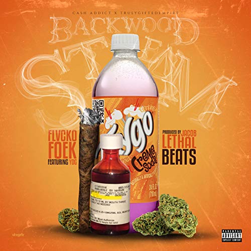 Backwood Steam (feat. YDG) [Explicit]