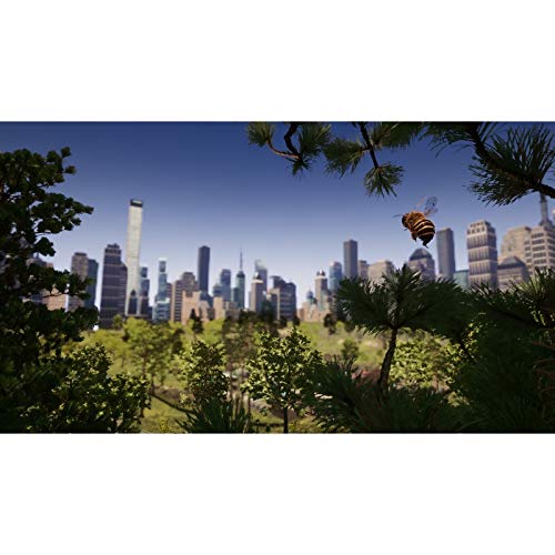 Bee Simulator XB1 [Versión Española]