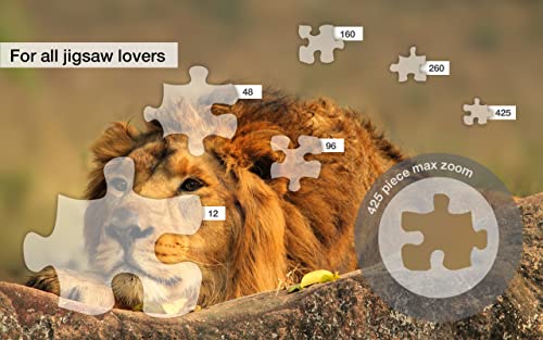Big Cat Jigsaw Puzzles