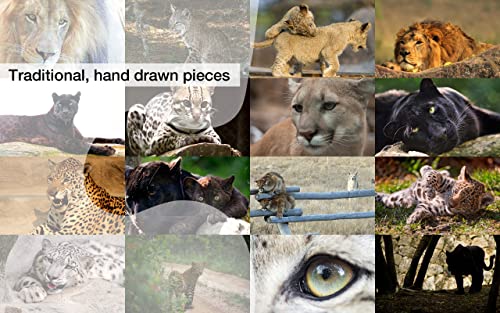 Big Cat Jigsaw Puzzles