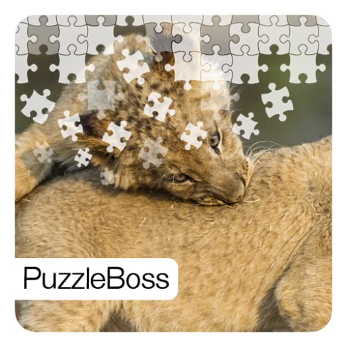 Big Cat Jigsaw Puzzles