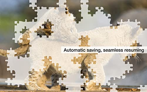 Big Cat Jigsaw Puzzles