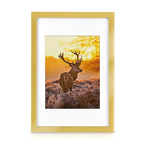 bomoe Juego de Marcos de Fotos múltiples para la Pared Collage Passion - 18 Piezas - con paspartú - Dorado - 6X 10,5x15cm / 4X 13x18cm / 4X 18x24cm / 4X 20x30cm