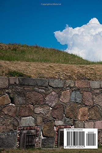 bunker of the end of world notebook: survival strategy for bunker, shelter, fortress , apocalypse ,war , epidemic , Aliens