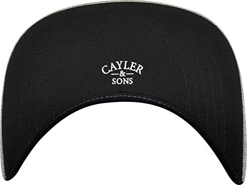 Cayler & Sons Baseball Kappe C&s WL Watch It Grow Cap Gorra de bisbol, Gris Jaspeado/MC, Talla única Unisex Adulto