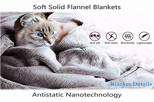 Collar Cristal - 1 Euro