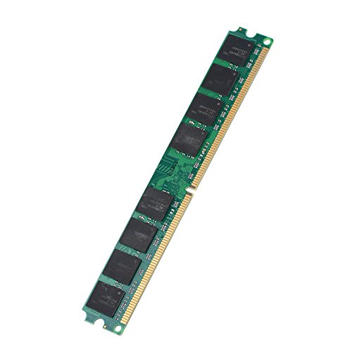 DDR2 Módulo de Memoria 800MHz Memoria de Capacidad de 2G para Computadora de Escritorio DDR2 PC2-6400, Compatible con la Placa Base Intel/AMD.