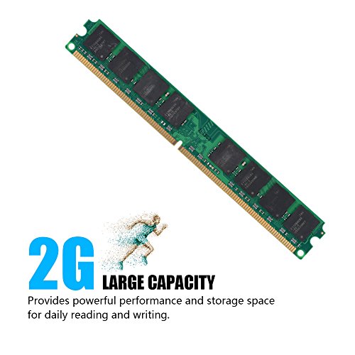 DDR2 Módulo de Memoria 800MHz Memoria de Capacidad de 2G para Computadora de Escritorio DDR2 PC2-6400, Compatible con la Placa Base Intel/AMD.