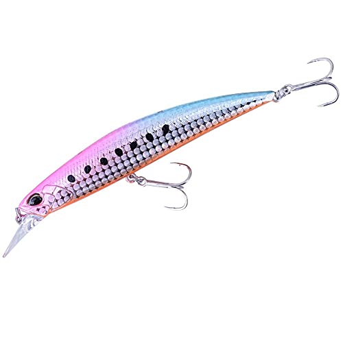 DUO Spearhead Ryuki 110S SW - Señuelo duro para agua salada (11 cm, 21 g, CBA0189 Sakura Sardine)