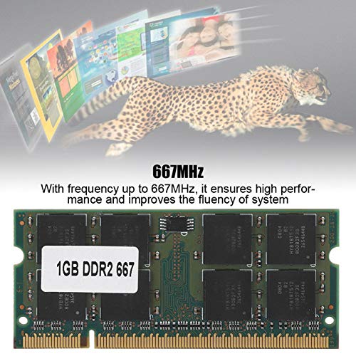 Elprico 1GB Módulo de Memoria DDR2 de Gran Capacidad, transmisión rápida de Datos 1GB 667MHZ DDR2 RAM, Notebook Memoria Totalmente Compatible para Intel/AMD