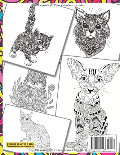 Escenas hilarantes para los amantes de los gatos - Libro de colorear