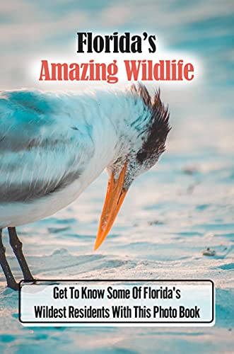 Florida’s Amazing Wildlife: Get To Know Some Of Florida's Wildest Residents With This Photo Book: Landscape Photography (English Edition)