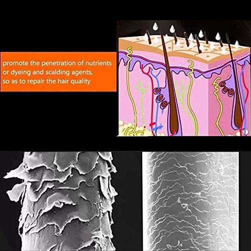 Fogger Machine Desinfección Nano Steam Gun,Nano Hair Steam Gun,Nano Steam Gun,Máquina SPA Humidificador,para El Hogar Desinfección Oficina 300Ml