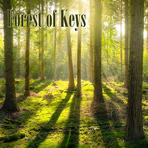 Forest of Keys