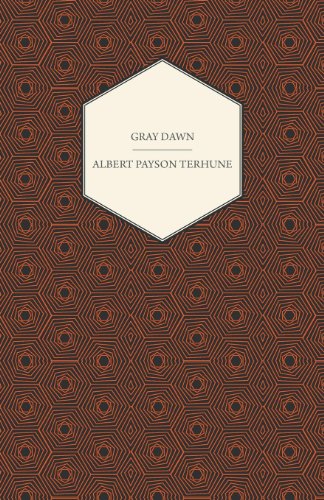 Gray Dawn (English Edition)