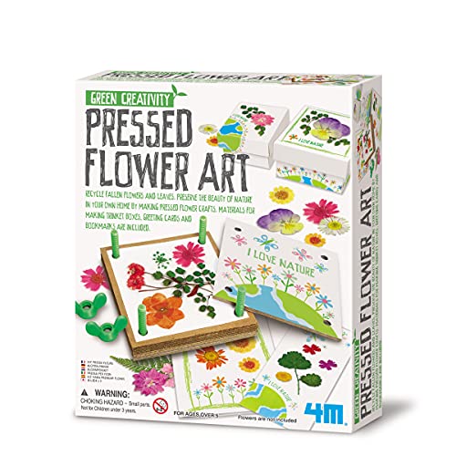 Great Gizmos- Pressed Flower Art Collage, Multicolor (4194) , color/modelo surtido