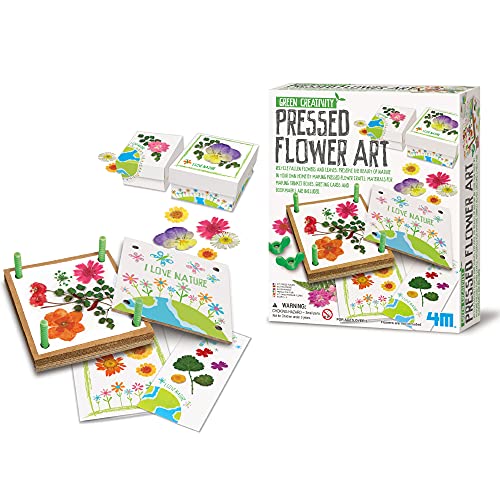 Great Gizmos- Pressed Flower Art Collage, Multicolor (4194) , color/modelo surtido