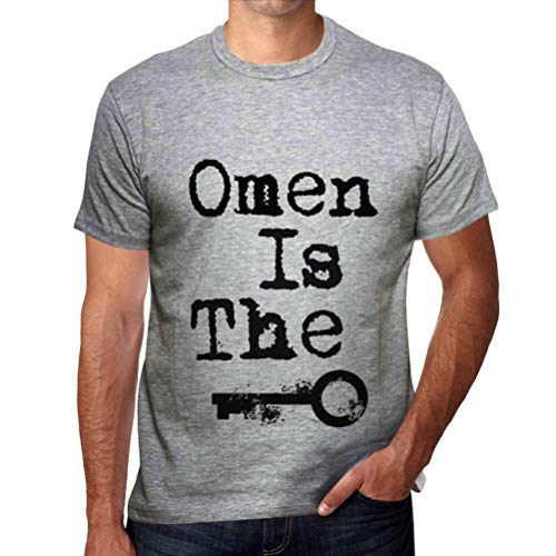 Hombre Camiseta Vintage T-Shirt Omen is The Key Gris Moteado