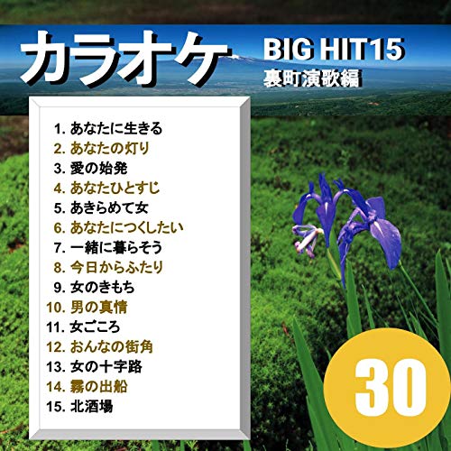 KARAOKE BIG HIT15 URAMACHI ENKA HEN 30