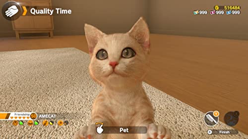 Little Friends: Dogs and Cats Nintendo Switch