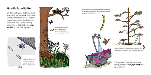 Little Inventors Go Green!: Inventing for a better planet