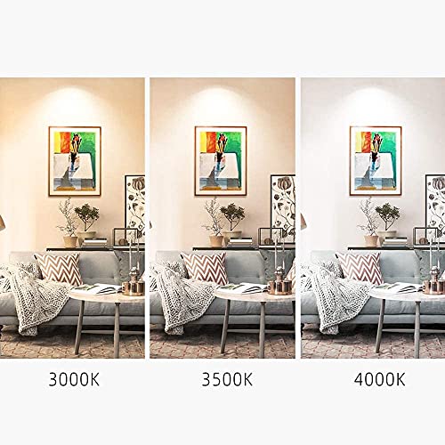 LogIme Mini foco redondo blanco, 50 mm de paso de orificio, luz LED empotrada en el techo, antideslumbrante, sala de exposiciones, iluminación de decoración para gabinetes de vino, 2W / 4W LED empotra