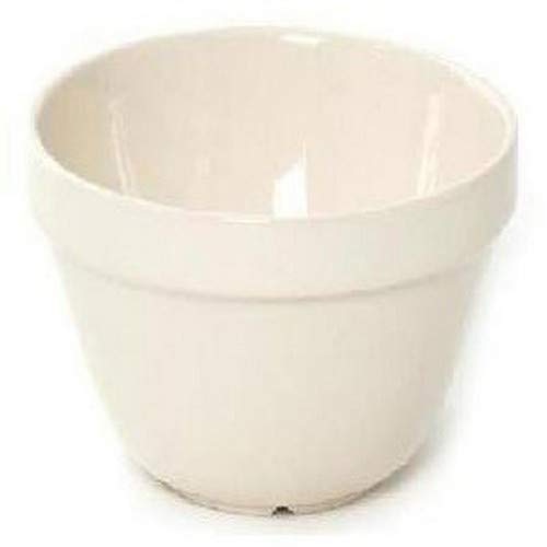 Mason Cash Pudding Basin - White - 14cm
