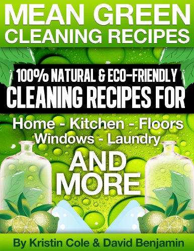 Mean Green Cleaning Recipes (English Edition)